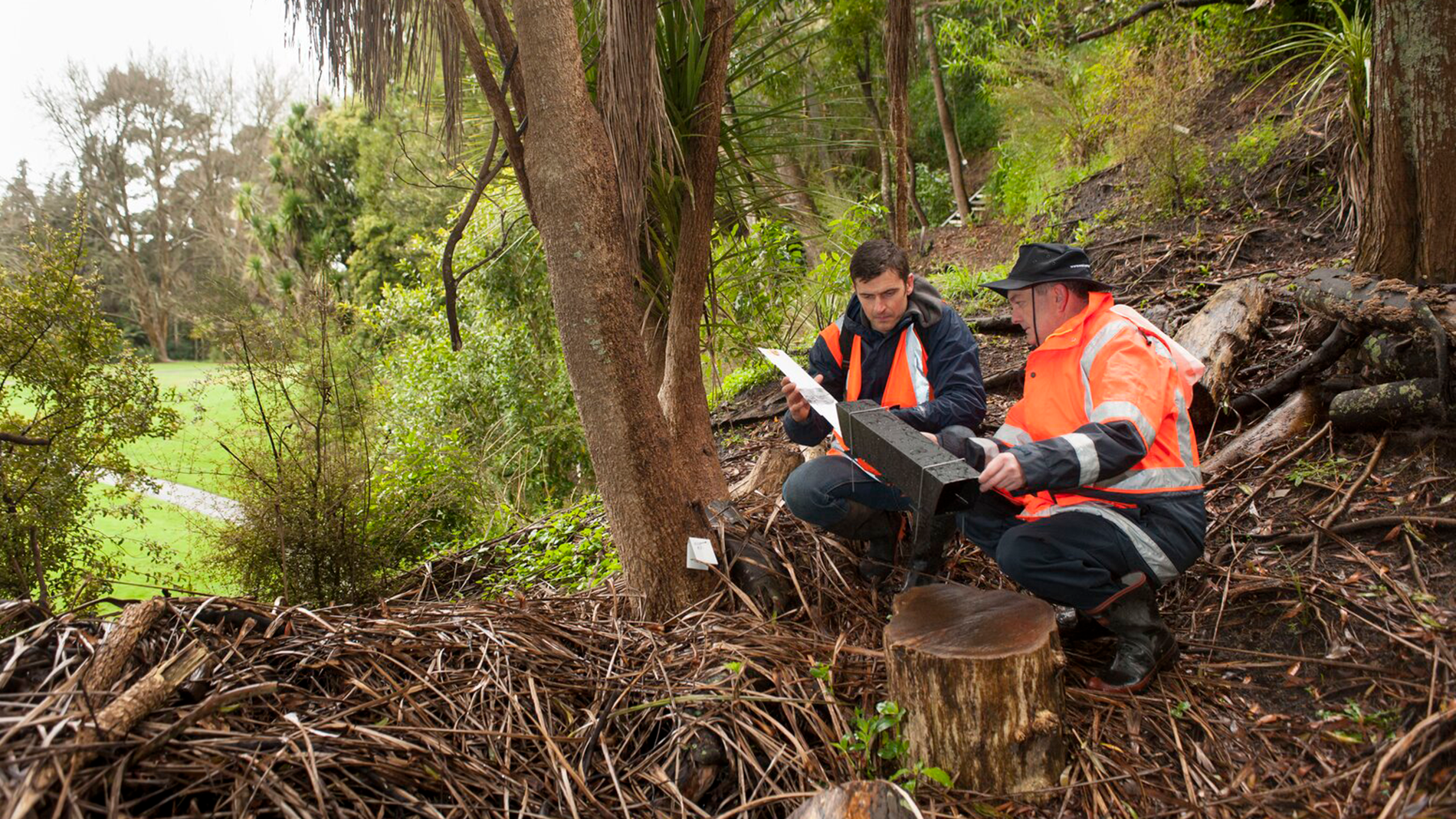 Image - working at Waikato Regional Council