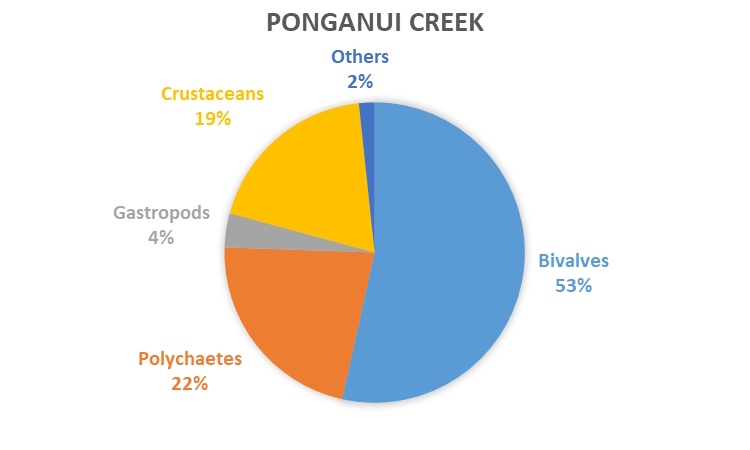 REMP monitoring results - data graph - Ponganui Creek