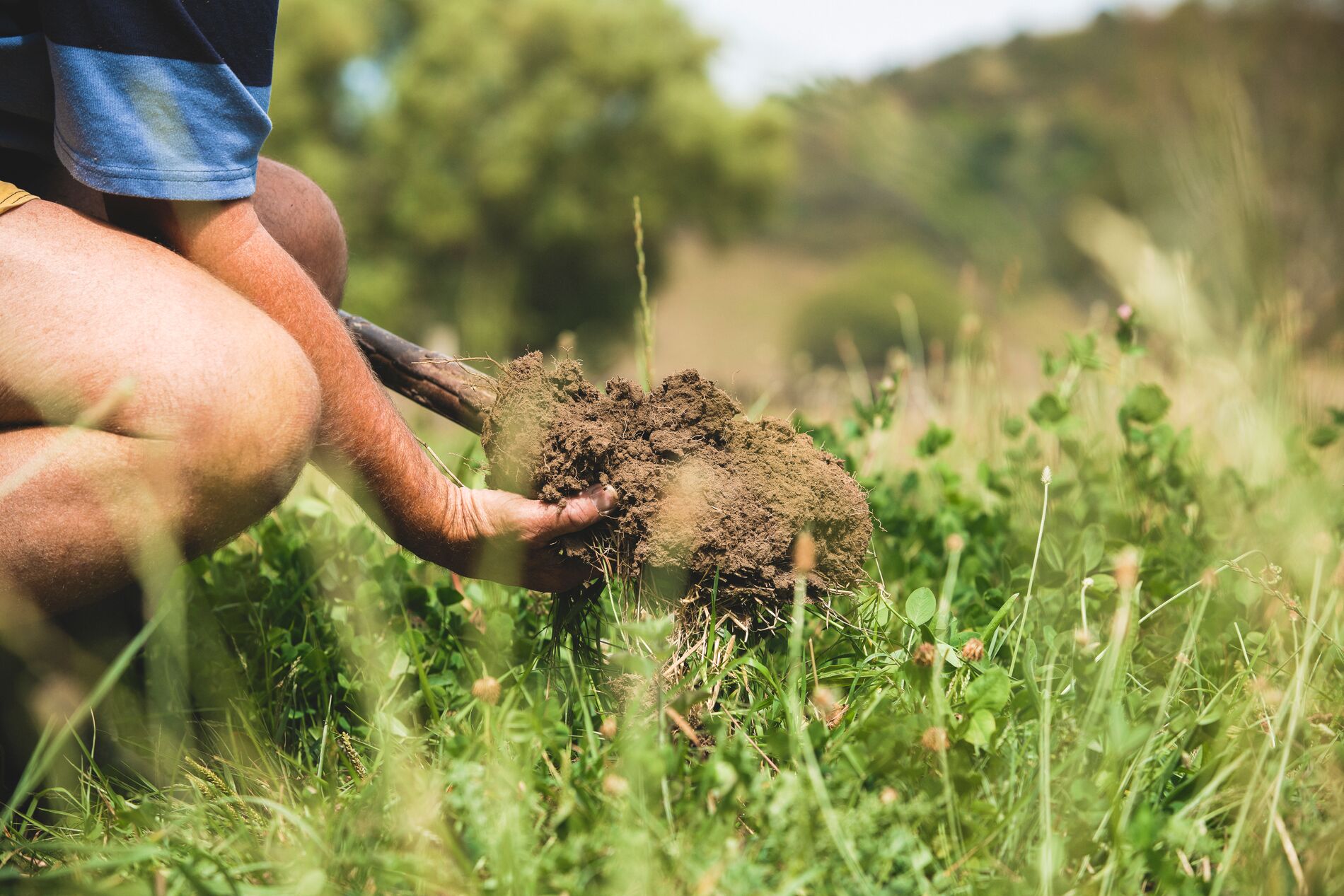 Member of the public holding soil sample